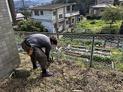 樹木伐採除草作業