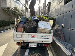 植木、植木鉢撤去