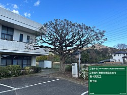 東公民館