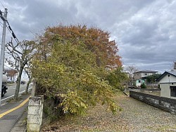 秋田県秋田市